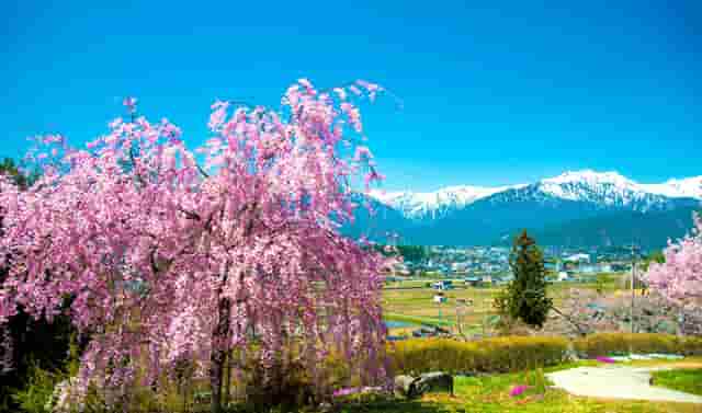 时尚穿搭技巧新年(新年怎么穿搭最时尚)