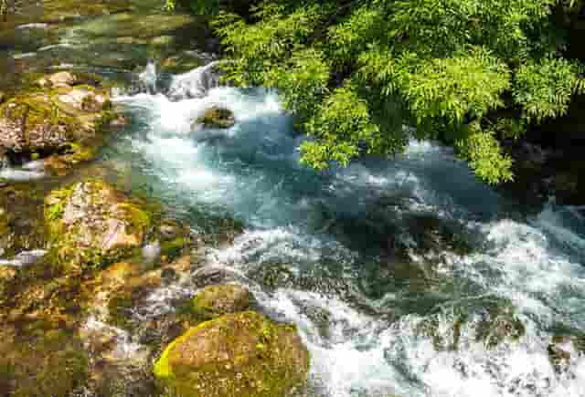 加盟袖虎宠物，你就知道创业很简单！