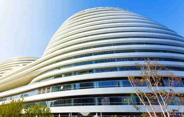 袖虎病狗攻略：为什么好好的小狗到家几天就S了？