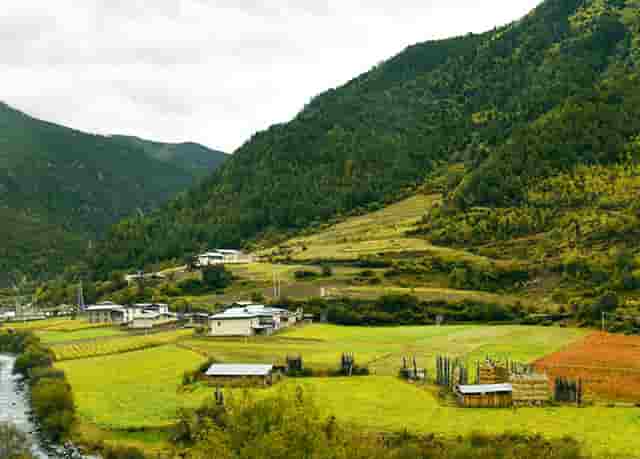 袖虎列举加盟坑钱的那些破事