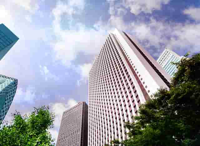 袖虎病狗攻略：狗狗体臭怎么办