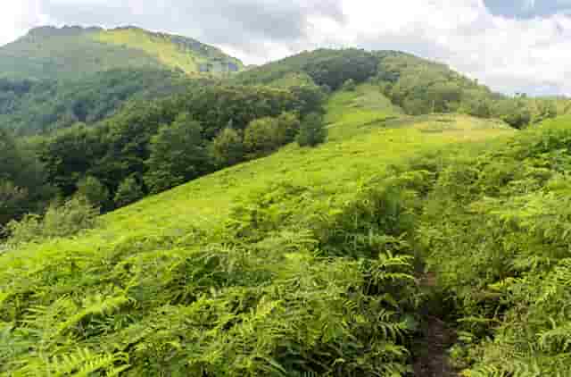 选购时尚办公家具的技巧方法_