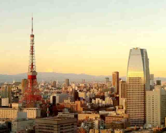 袖虎病猫攻略：冬季猫咪如何防猫癣？